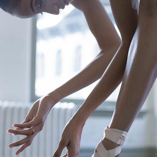 Photo #4432480