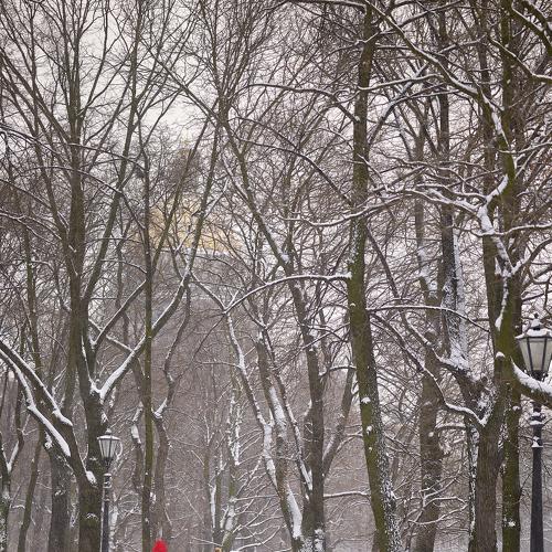 Photo #4432714