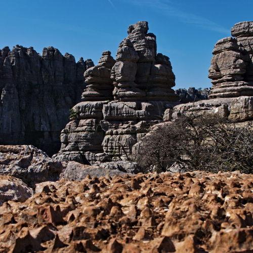 Photo #4432821