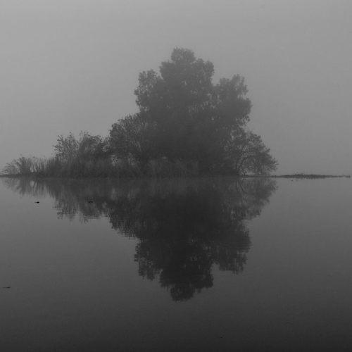 Photo #4432845
