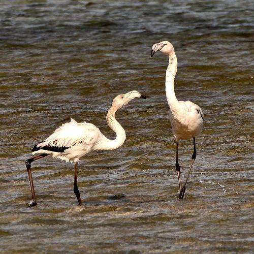 Я тебе говорила, что это не Испания!