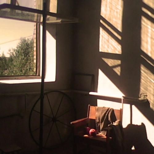 Photo #4433110