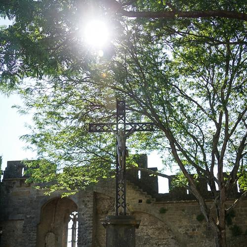 Photo #4433168