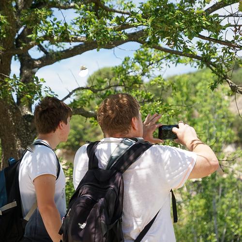 Photo #4433245