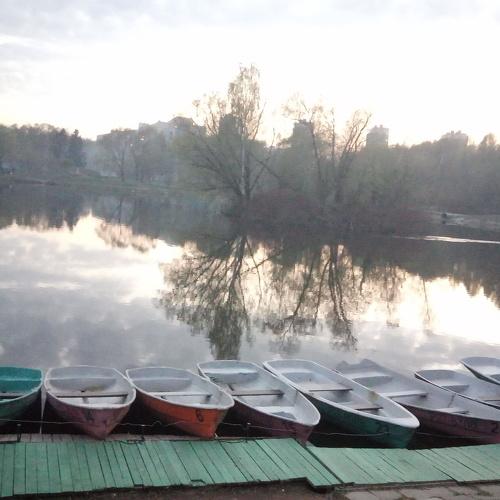 Photo #4433383