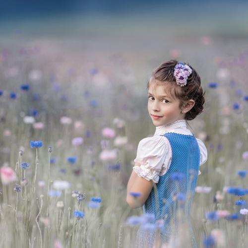 blue flowers