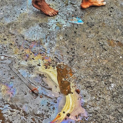 Photo #4433461