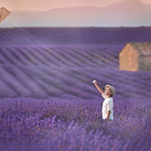 Photo #4433524