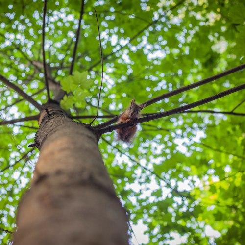 Photo #4433596