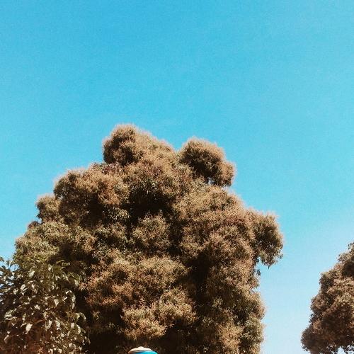 Photo #4433627