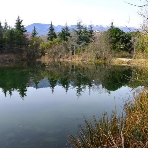 Photo #4433682