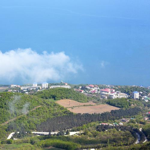 Photo #4433683