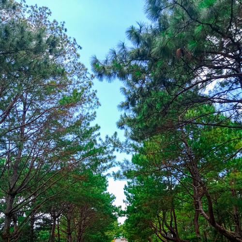 Photo #4433863