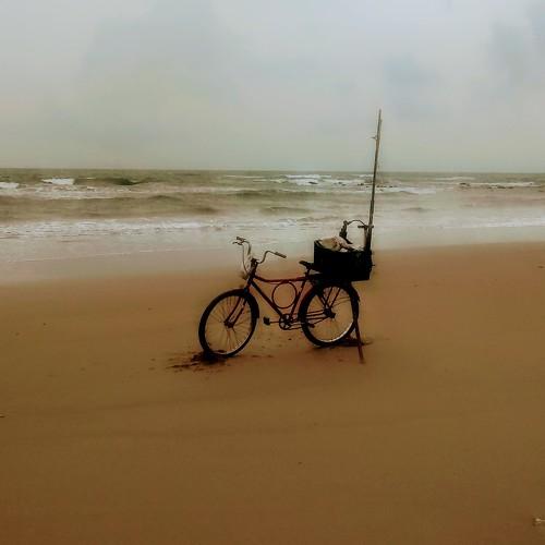 The Bike