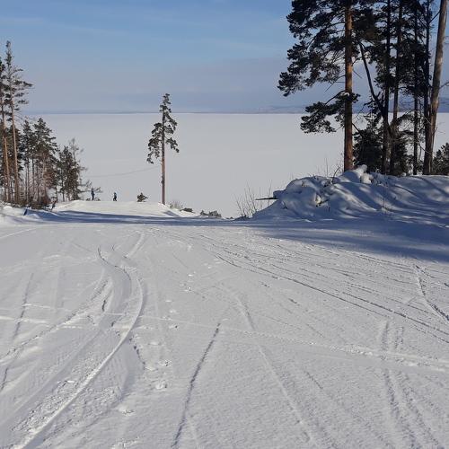 Photo #4434201
