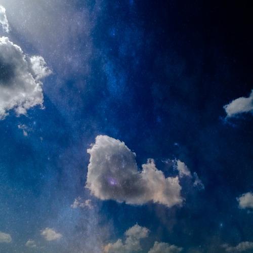 Photo #4434264