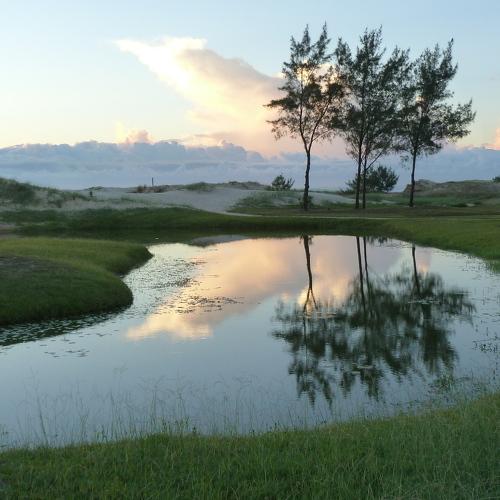 Photo #4434392