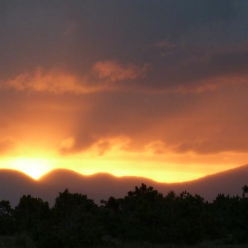 Photo #4434399