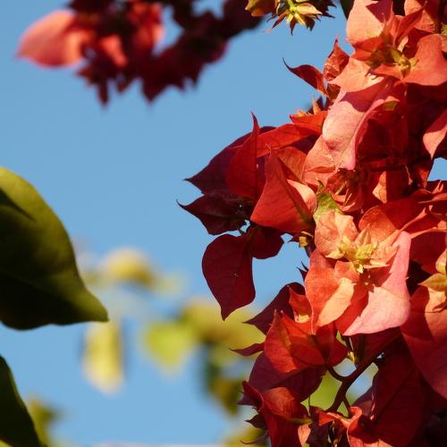 Photo #4434446