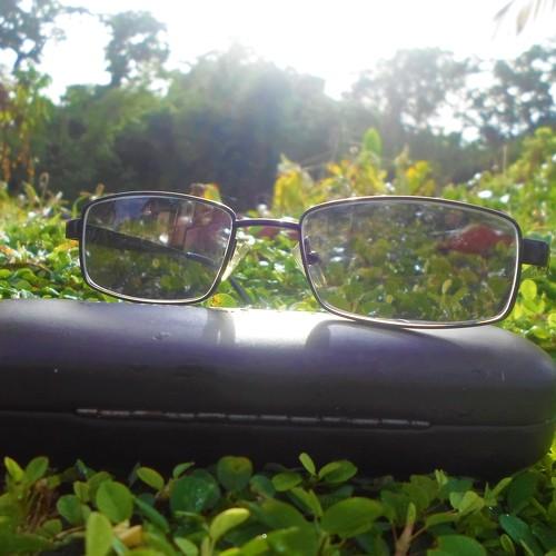 Photo #4434574