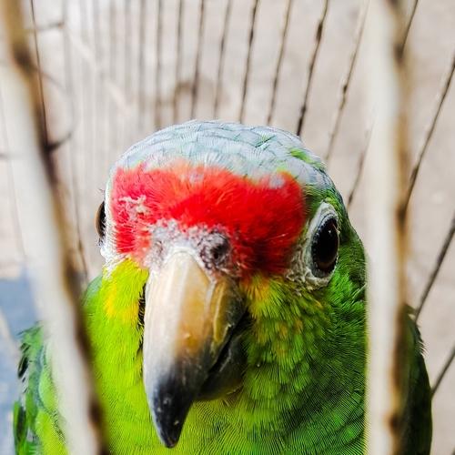 Photo #4434787