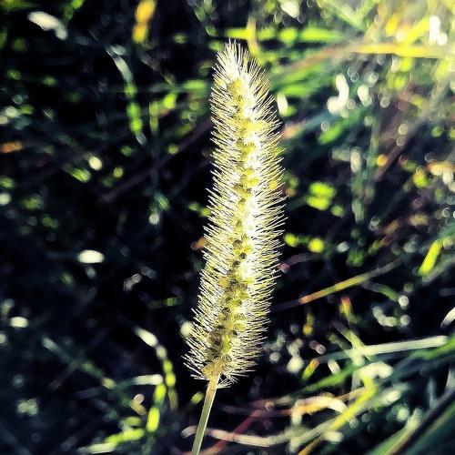 Photo #4435130