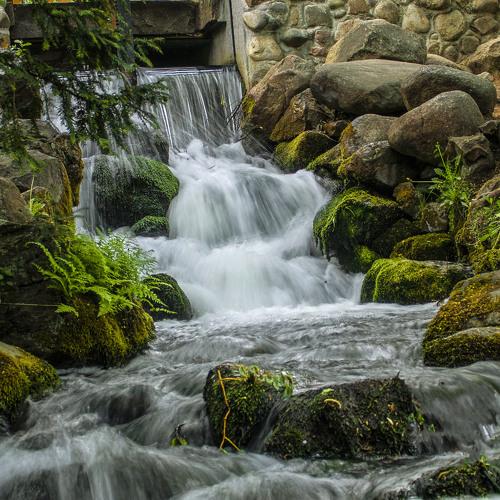 Photo #4435595