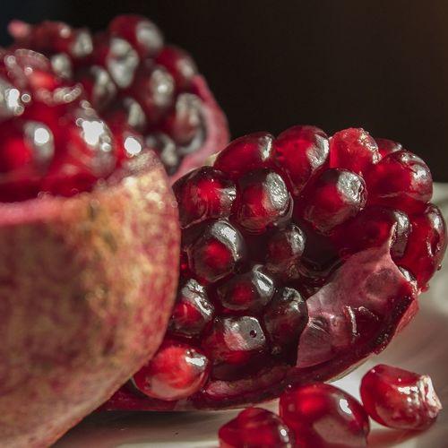 Photo #4435598