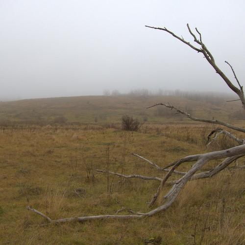 Photo #4436305