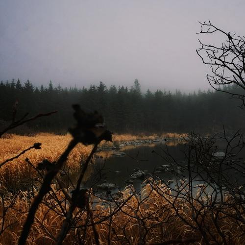 Photo #4436451