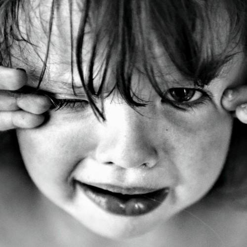 Photo #4436472