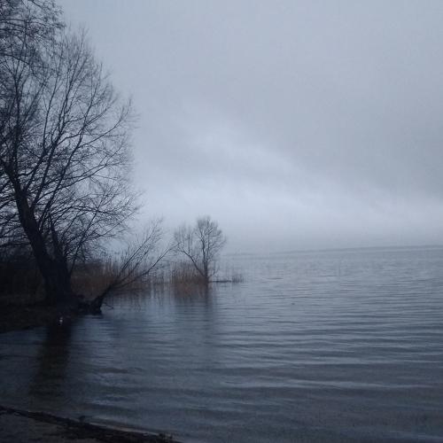 Photo #4436558