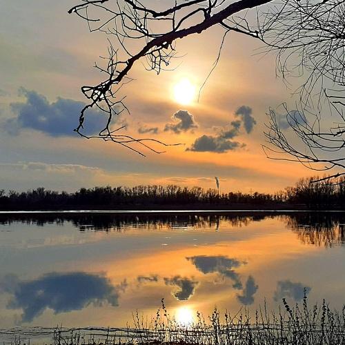 Photo #4436595