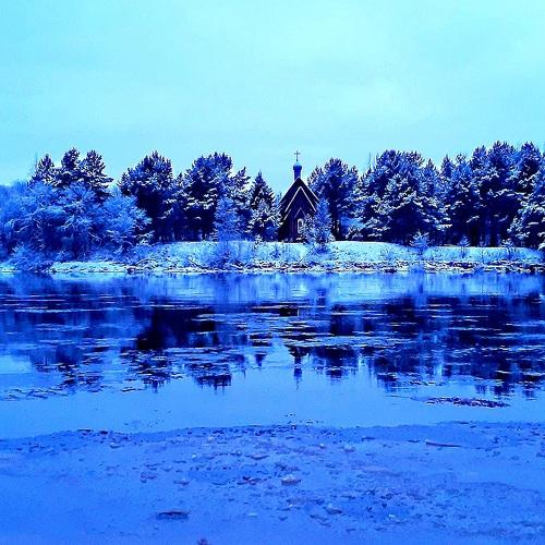 Photo #4436596
