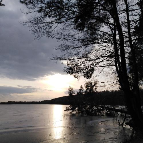 Photo #4437430
