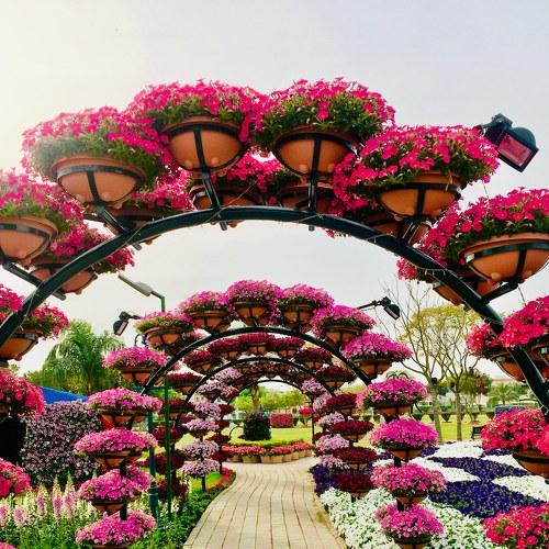 Photo #4438521