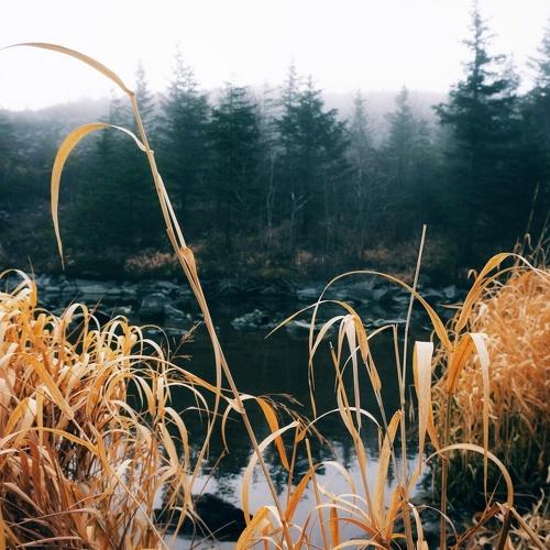 Photo #4438651