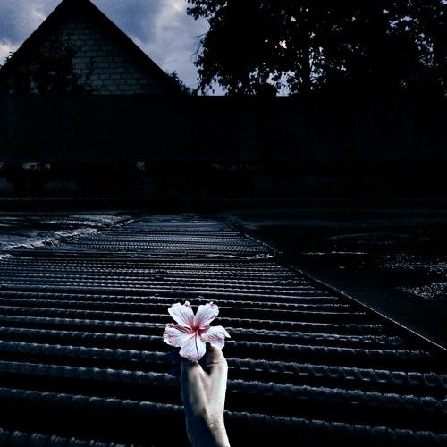 Photo #4438716