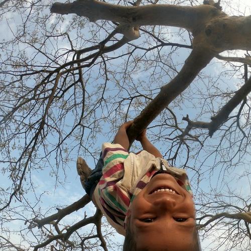 Photo #4438717