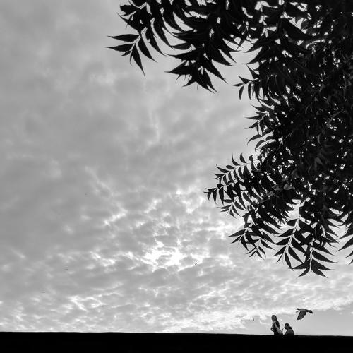 Photo #4438720