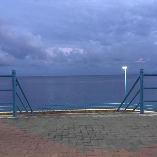 Photo #4438971