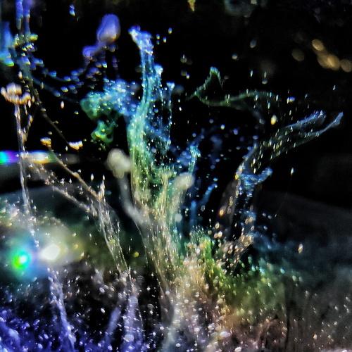 Photo #4439153
