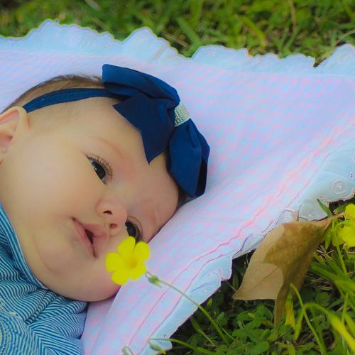 Photo #4440669