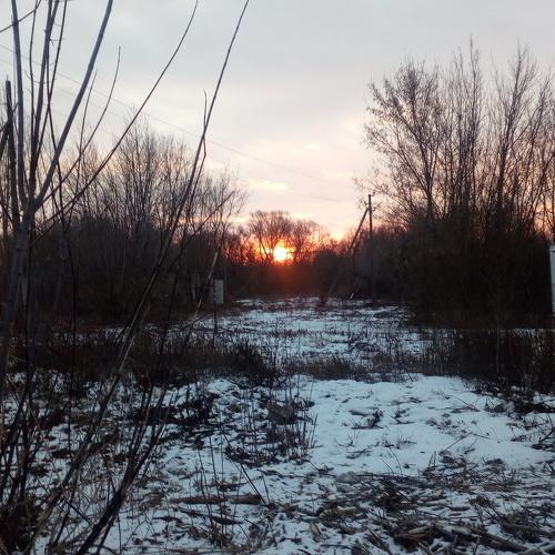 Photo #4441319