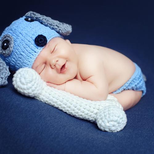 Photo #4441363