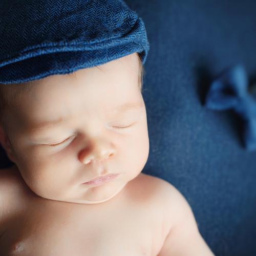 Photo #4441373