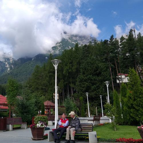 Photo #4441822