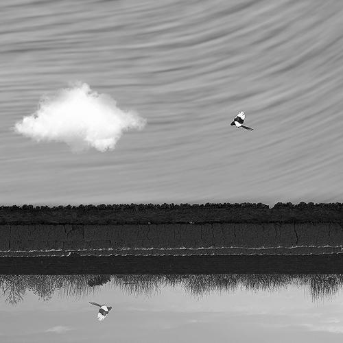 Photo #4442124