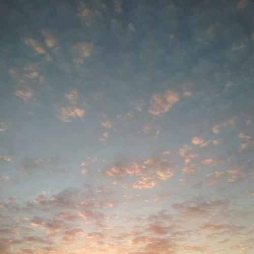 Photo #4442360