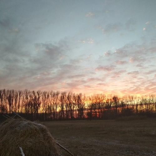 Photo #4442361